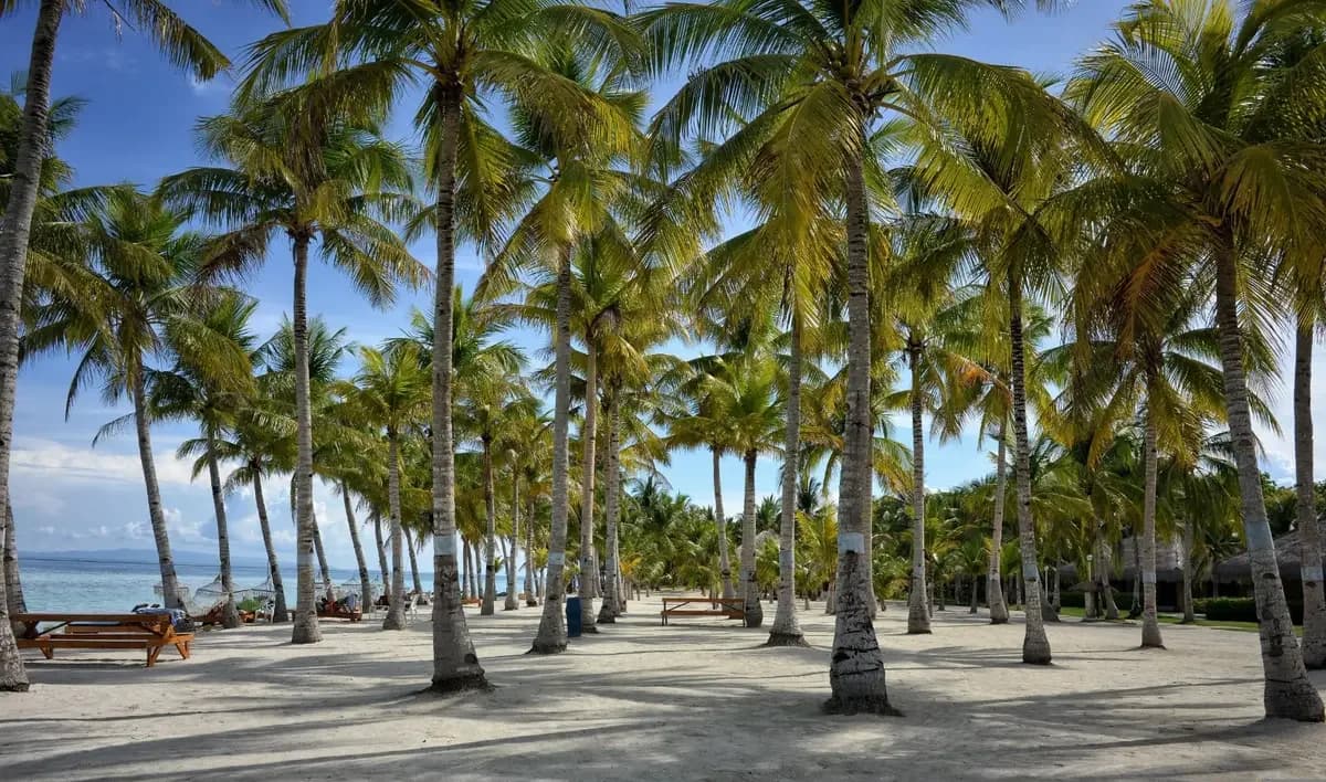 Beach Bum Diaries: Life in Diani vs. Malindi