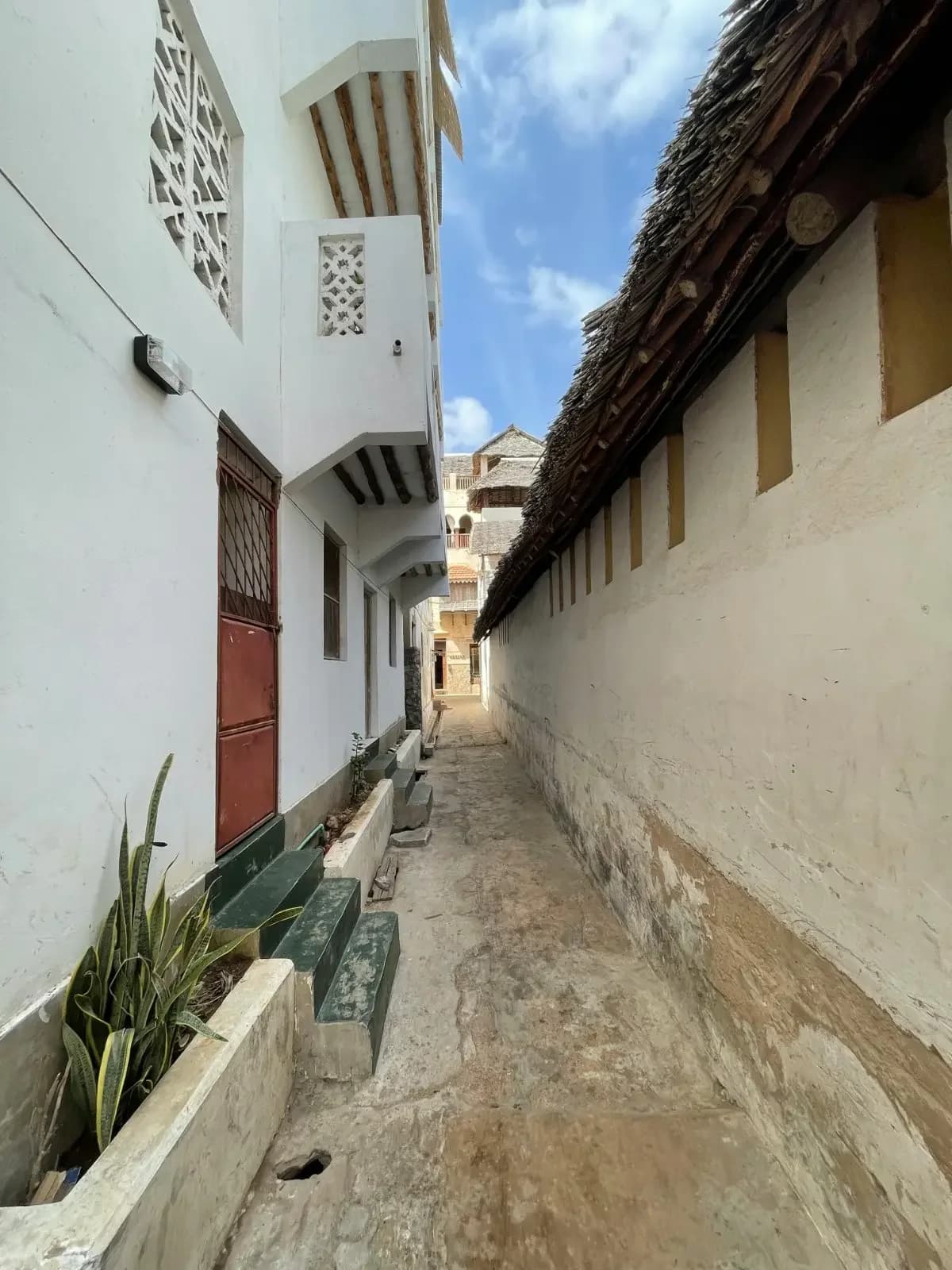 Lamu Love: Why This Island is Kenya’s Hidden Treasure
